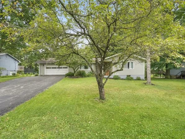 Single-storey home set back behind a mature shade tree